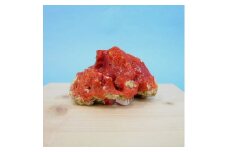 珊瑚職人館の珊瑚の原木・拝見・置物（g41）