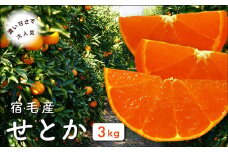宿毛産せとか3kg