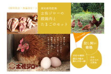 高知県特産鶏『土佐ジロー』の親鶏肉とたまごのセット＜期間限定・数量限定＞