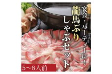 龍馬ぶりしゃぶ5～6人前セット