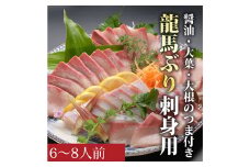 龍馬ぶり 刺身用 6～8人前セット
