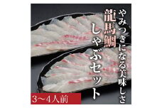 龍馬鯛しゃぶ3～4人前セット