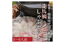 龍馬鯛しゃぶ5～6人前セット