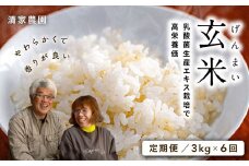 【2025年お届け・定期便】酵素が3.9倍！「乳酸菌生産エキス栽培」玄米3kg×6回お届け【特別栽培・農薬不使用】