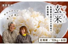【2025年お届け・定期便】酵素が3.9倍！「乳酸菌生産エキス栽培」玄米 10kg×6回お届け【特別栽培・農薬不使用】