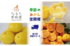 なるた果樹園季節のみかん定期便（年3回お届けコース）