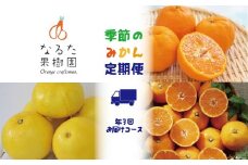 なるた果樹園季節のみかん定期便A（年3回お届けコース）