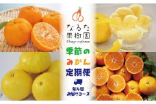 なるた果樹園季節のみかん定期便（年4回お届けコース）