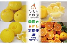 なるた果樹園季節のみかん定期便（年4回お届けコース）
