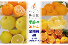 なるた果樹園季節のみかん定期便（年6回お届けコース）