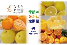 なるた果樹園季節のみかん定期便（年5回お届けコース）
