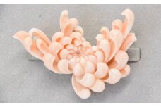 さんごの吉良：珊瑚の帯留め5【菊】