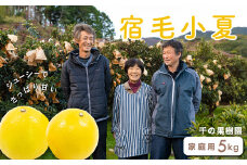 千の果樹園の宿毛小夏5kg・家庭用