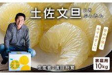 濱田裕繁の土佐文旦10kg家庭用（大玉）
