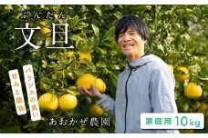 あおかぜ農園の土佐文旦10kg家庭用