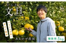 あおかぜ農園の土佐文旦5kg贈答用