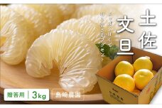 島﨑農園の土佐文旦3kg贈答用