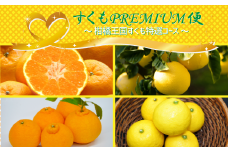 【すくもPREMIUM便】柑橘王国すくも特選コース　ポンカン 文旦 デコポン 小夏 直送 みかん 定期便 オレンジ ボンタン ザボン 日向夏 ニューサマーオレンジ 訳あり 果物 くだもの フルーツ 数量限定 高知