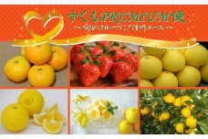 【すくもPREMIUM便】旬のフルーツこだわりコース