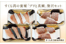 すくも湾の養殖『ブリと真鯛』贅沢セット