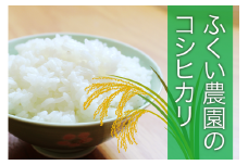 【令和5年産】ふくい農園のおいしいお米（コシヒカリ15kg）　3営業以内 発送 すぐ 届く お届け 低温 貯蔵 酵素 有機質 肥料 贈答 精米 白米 プレゼント
