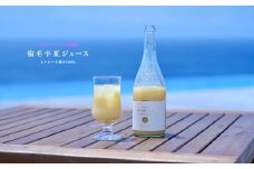 ハッピーフルーツ果樹園の宿毛小夏ジュース6本入り