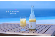 ハッピーフルーツ果樹園の宿毛小夏ジュース（化粧箱入り）2本セット