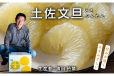 濱田裕繁の土佐文旦10kg家庭用（小玉）
