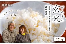 【令和6年産】酵素が3.9倍！「乳酸菌生産エキス栽培」玄米 10kg【特別栽培・農薬不使用】