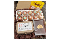 こだわりの土佐ジローカステラとたまごのセット