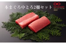 本まぐろ中とろ２柵セット