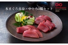 本まぐろ赤身・中とろ２柵セット