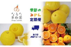 なるた果樹園季節のみかん定期便B（年3回お届けコース）