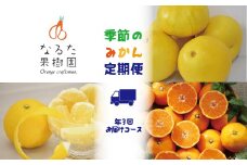 なるた果樹園季節のみかん定期便C（年3回お届けコース）