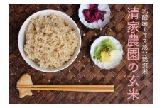 【令和7年産】清家農園 錦米（にこまる）玄米10kg【特別栽培・農薬不使用】