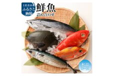 おまかせ！季節の鮮魚 お楽しみセット（2万円 水晶コース）鮮魚 ボックス 詰め合わせ 天然魚 食べ比べ 魚介類 海鮮料理 セット お楽しみ おまかせ 新鮮 魚 季節の魚 美味しい おいしい 高知 土佐清水市【R01215】