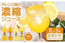 オレンジ園の濃縮ジュース 1L おまかせ3本入り 希釈用 みかんジュース チューハイ用 ドリンク ジュース 柑橘類 蜜柑 みかん【R00539】