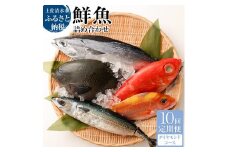 <10回定期便> 季節の鮮魚 おまかせお楽しみセット（20万円ダイヤモンドコース）鮮魚 ボックス 詰め合わせ 天然魚 食べ比べ 魚介類 海鮮料理 魚 新鮮 刺し身 お楽しみ 定期便 高知 【J00051】