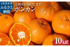 【令和８年発送】オレンジ園のぽんかん10kg 10キロ  デコポンの親 みかん ミカン 果物 果実 柑橘 フルーツ ポンカン おやつ デザート 甘い 美味しい ギフト 贈答 名物 国産【R01084】