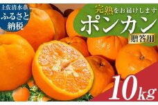 【令和８年発送】オレンジ園のぽんかん10kg 10キロ  デコポンの親 みかん ミカン 果物 果実 柑橘 フルーツ ポンカン おやつ デザート 甘い 美味しい ギフト 贈答 名物 国産【R01084】