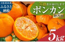 【令和８年発送】オレンジ園のぽんかん５kg  デコポンの親 みかん ミカン 果物 果実 5キロ 柑橘 フルーツ ポンカン おやつ デザート 甘い 美味しい 完熟 ギフト 贈答 名物 国産【R01083】