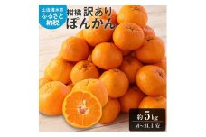 【令和8年発送】【訳あり】ぽんかん５kg 谷川果樹園 デコポンの親  みかん 蜜柑 ミカン 不知火 しらぬい 柑橘 かんきつ ポンカン フルーツ オレンジ 果物 くだもの 果汁 甘い【R01141】
