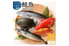 <3回定期便> 季節の鮮魚 おまかせお楽しみセット（ゴールドコース）鮮魚 ボックス 詰め合わせ 天然魚 食べ比べ 魚介類 海鮮料理 魚 新鮮 刺し身 煮付け お楽しみ 定期便 3ヶ月 高知 【J00047】