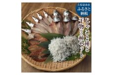 浜口海産物店のじゃこ2種と干物3種セット 干物 ひもの じゃこ ちりめんじゃこ かちりじゃこ しらす シラス 詰め合わせ セット 旬 無添加 釜揚げ しらす丼 ちりめん丼 おつまみ 【R00283】