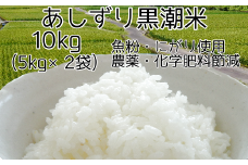 【3月14日～価格改定（値上げ）】令和6年産  あしずり黒潮米10kg（5kg×2袋）【コシヒカリ】精米 白米 こめ コメ おコメ こしひかり ブランド米 10キロ  国産 送料無料 高知県 にがり【R01306】