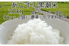 【3月14日～価格改定（値上げ）】令和6年産  あしずり黒潮米20kg（5kg×4袋）10キログラム 【コシヒカリ】 こしひかり 精米 白米 ブランド米 銘柄米 お米 おコメ 米 こめ ご飯 ごはん おにぎり おいしい 高知県 高知 にがり【R01308】