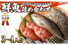 旬の朝獲れ鮮魚詰め合わせ 鮮魚 直送 ボックス 詰め合わせ【以布利定置網　漁師直送】セット おまかせ 魚介 海鮮 魚 魚介類 海鮮セット 新鮮 天然【S00818】