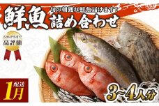 旬の朝獲れ鮮魚詰め合わせ 【2026年1月配送】 鮮魚 直送 ボックス 詰め合わせ【以布利定置網　漁師直送】セット おまかせ 魚介 海鮮 魚 魚介類 海鮮セット 新鮮 天然【S00818-1】