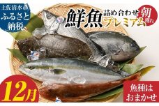 旬の朝獲れ鮮魚詰め合わせ（プレミアム）12月配送 鮮魚 ボックス 詰め合わせ【以布利定置網　漁師直送】朝獲れ 旬 魚介 海鮮 魚 さかな せんぎょ 鮮魚セット おまかせ お任せ【S00819-12】