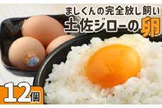 ましくんの完全放し飼い土佐ジローの卵（12個入り）もみ殻梱包 ブランド卵 タマゴ 玉子 たまご 生卵 鶏卵 土佐地鶏 濃厚 新鮮 食品 プレゼント ギフト 送料無料 【R00176】